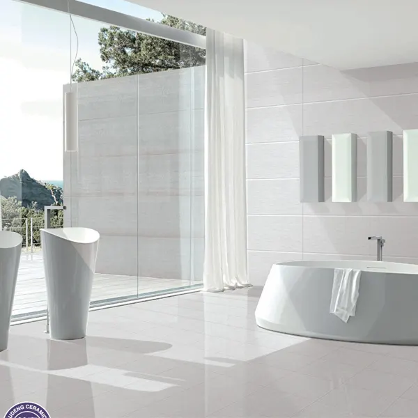 Ceramic Wall Tile 240x660mm