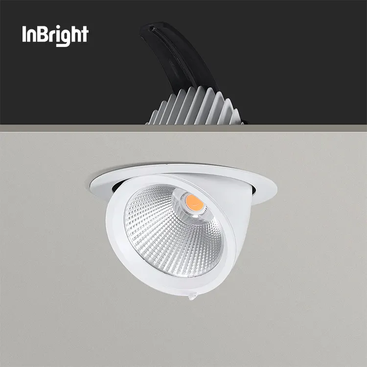 Adjustable Dimmable Recessed COB LED Downlight 10-50W