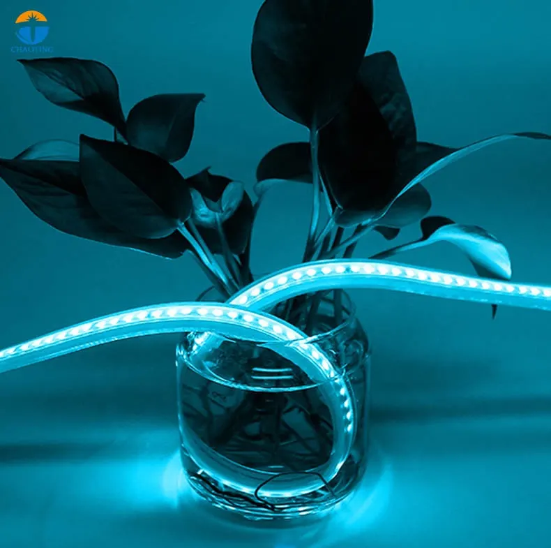 Flexible RGB LED Strip Light 220V IP65 SMD2835