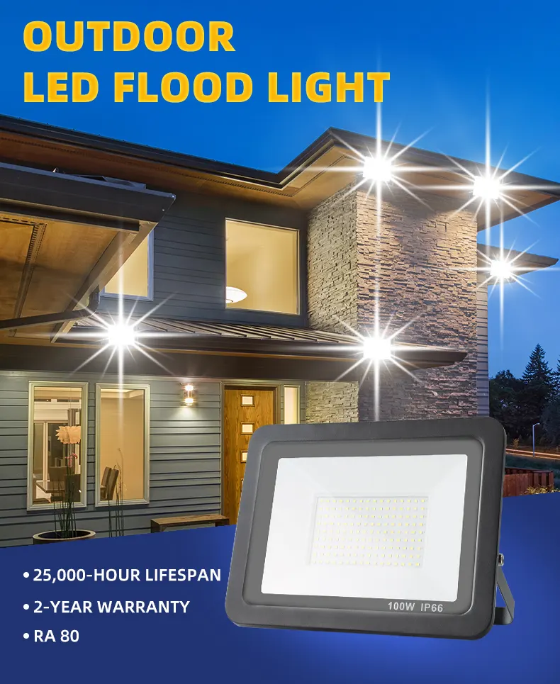 Aluminum LED Floodlight 100/500W 220V IP66