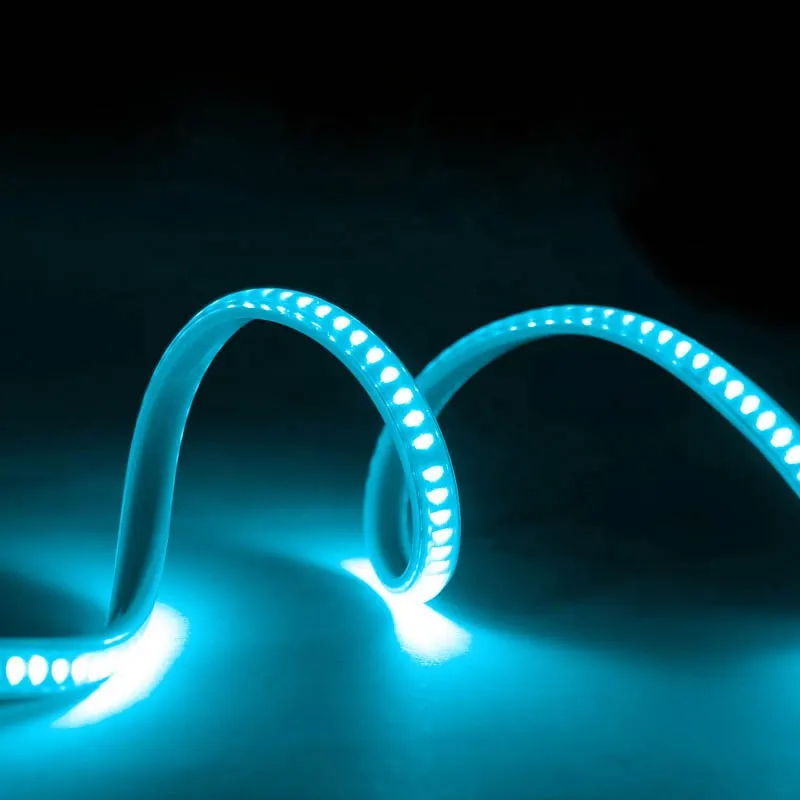 LED Strip Light 110V/220V 2835