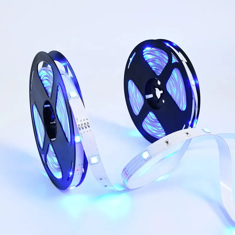 RGB LED Strip Light 12V/24V IP65/IP67 5050