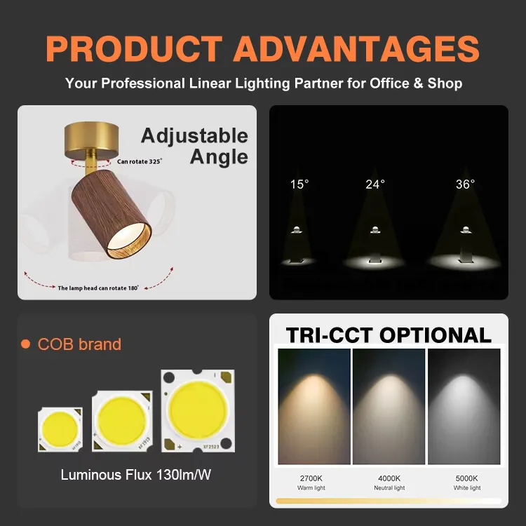 Adjustable Aluminum LED Track Spotlight