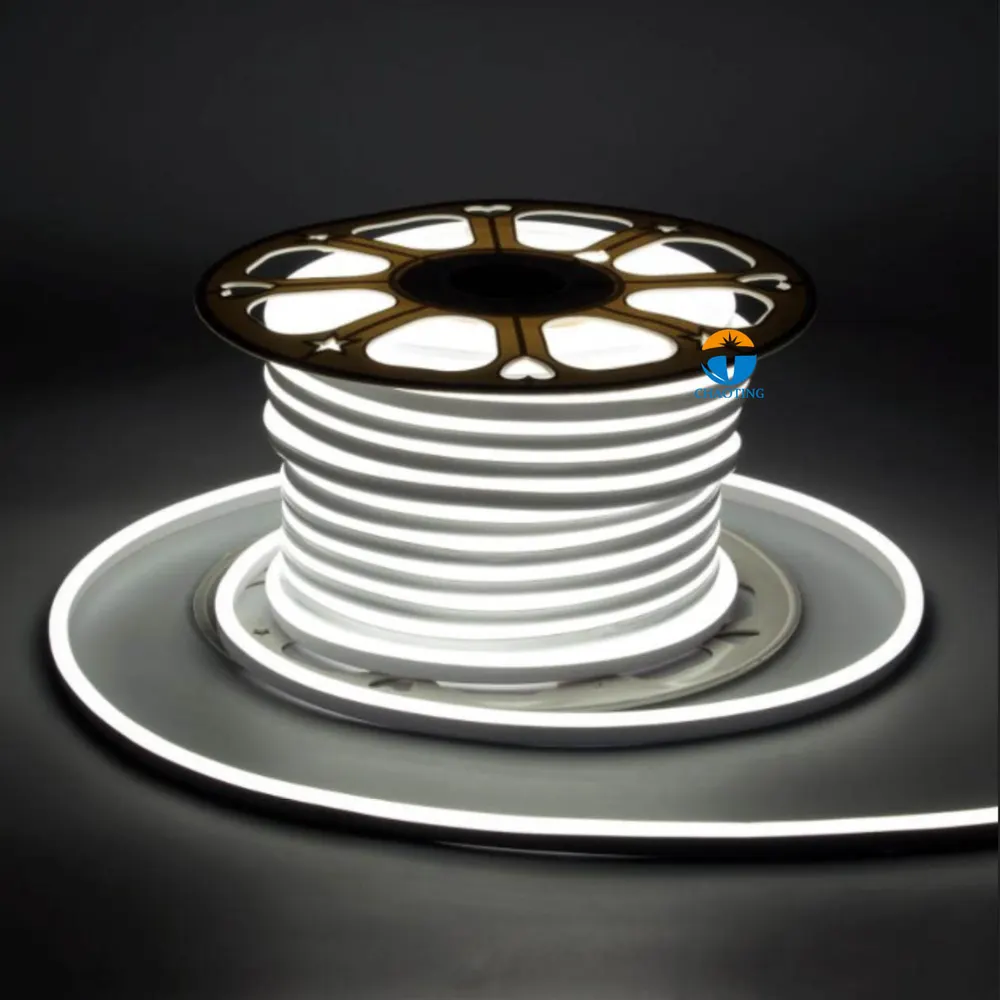 RGB LED Neon Rope Light 110V For Strip Lighting Installation