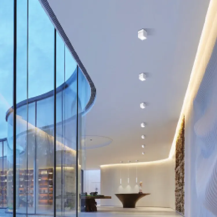 Aluminum LED Downlight White/Black 10/12W