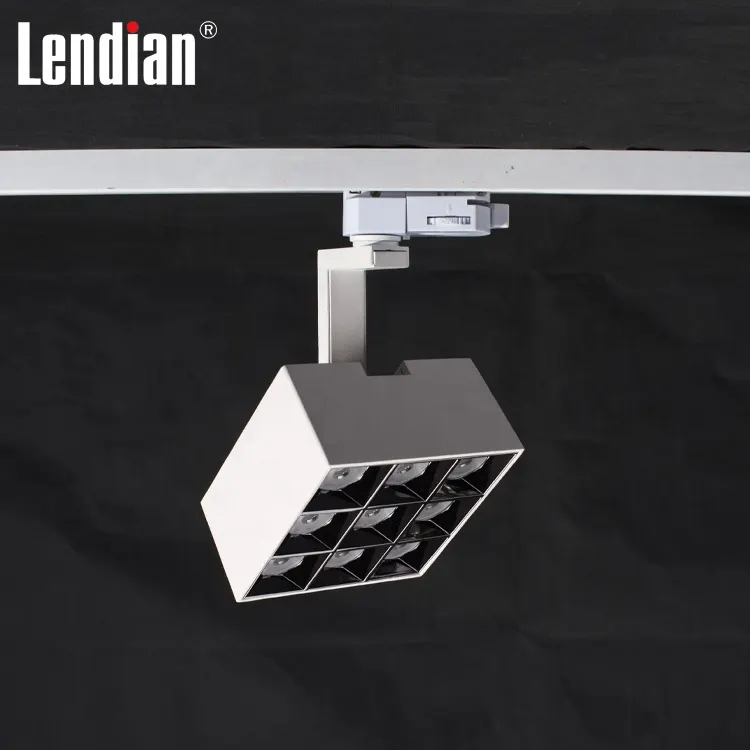 Adjustable Aluminum COB LED Track Spotlight 30W 07A