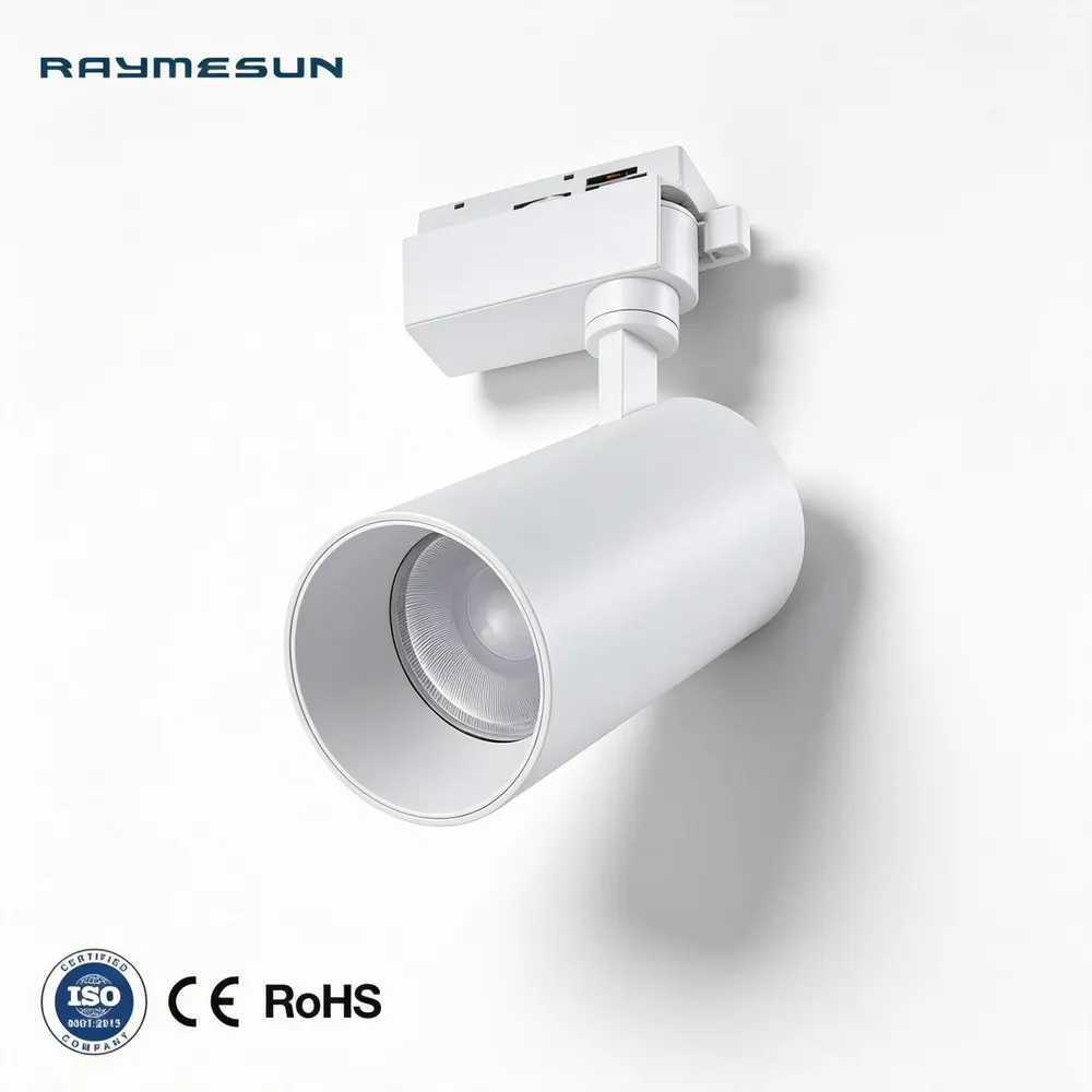 Adjustable Aluminum COB LED Track Spotlight 20/30W 220V