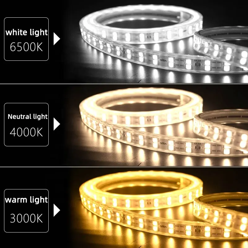 RGB Flexible LED Strip Light 220V
