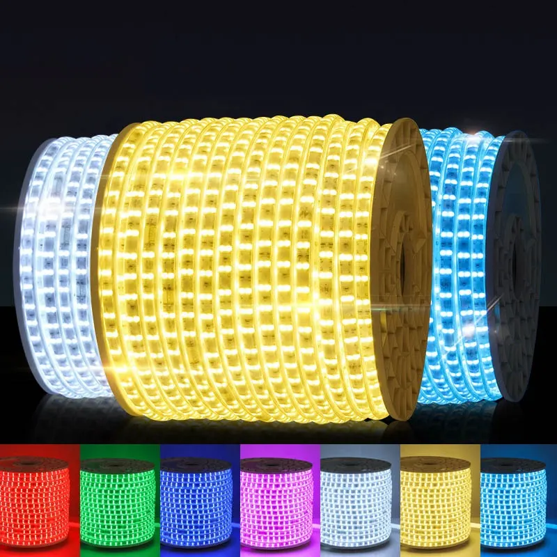 RGB Flexible LED Strip Light 220V