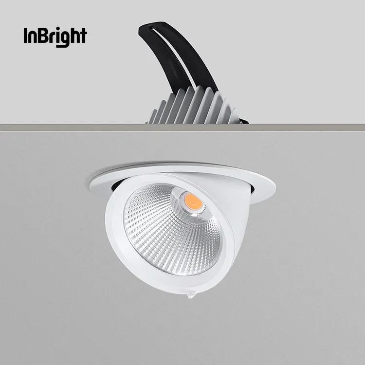 Adjustable Dimmable Recessed COB LED Downlight 10-50W